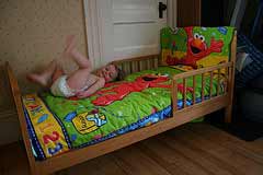 toddler girl bedding with elmo - photo by abbybatchelder